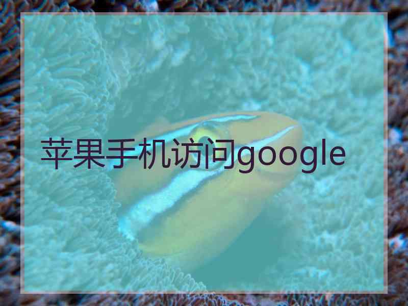 苹果手机访问google