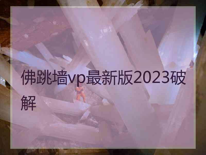 佛跳墙vp最新版2023破解