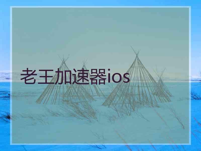 老王加速器ios