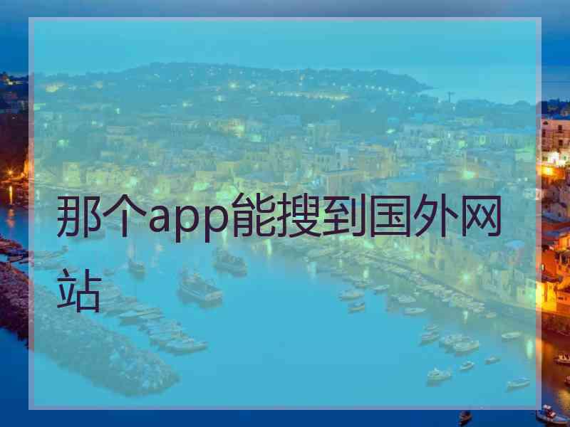 那个app能搜到国外网站