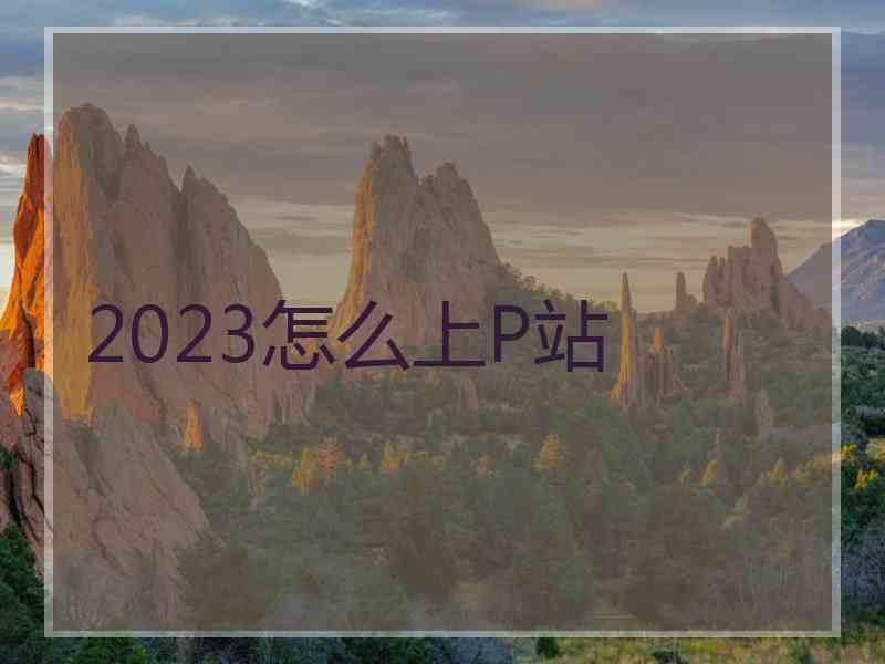 2023怎么上P站