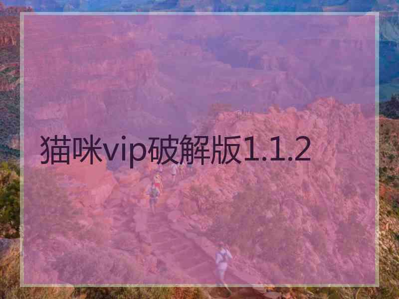 猫咪vip破解版1.1.2