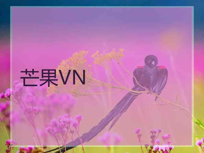 芒果VN