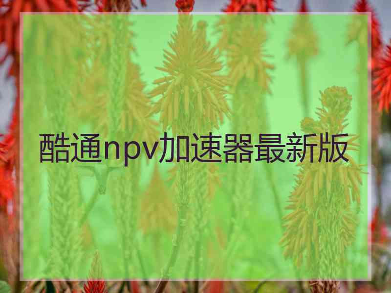 酷通npv加速器最新版