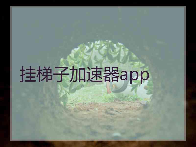 挂梯子加速器app