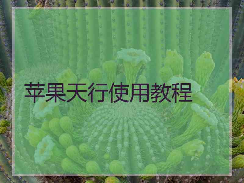 苹果天行使用教程