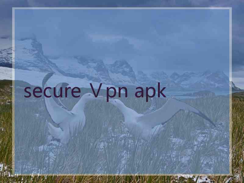 secure Ⅴpn apk