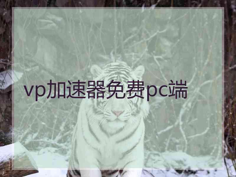 vp加速器免费pc端