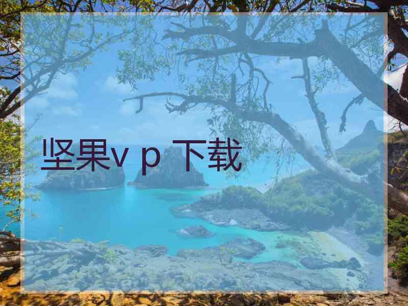 坚果v p 下载