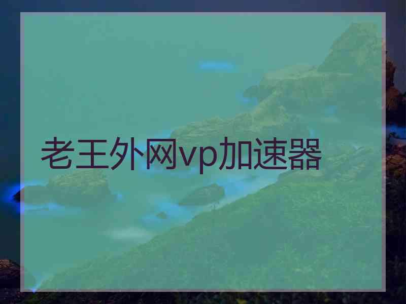 老王外网vp加速器