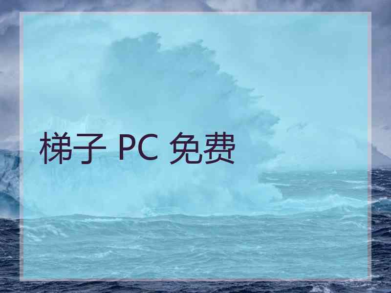 梯子 PC 免费