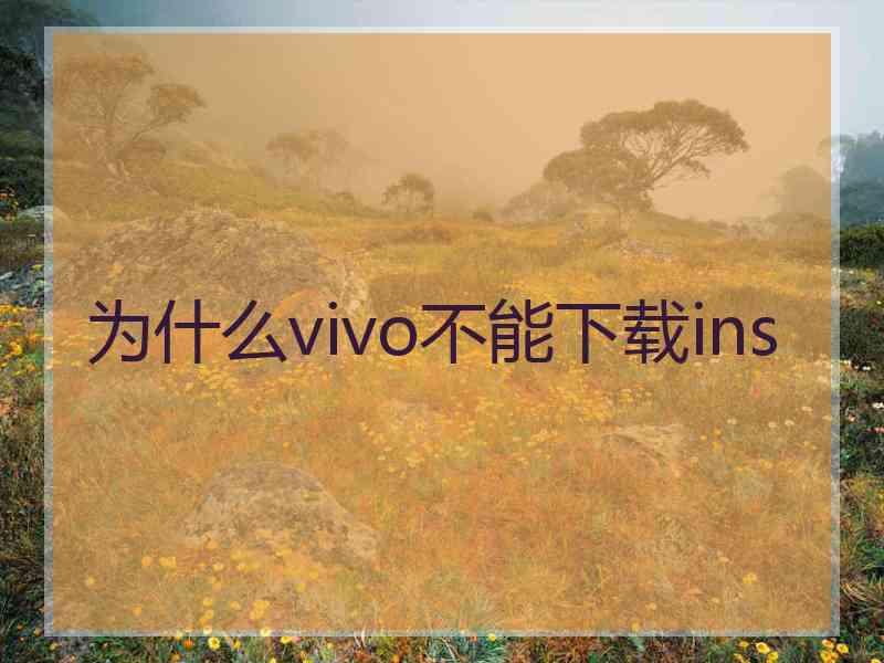 为什么vivo不能下载ins