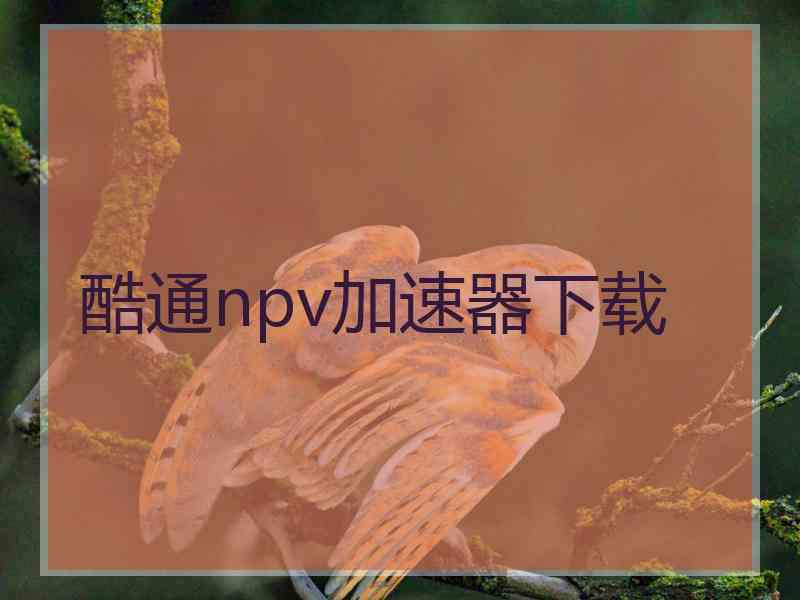 酷通npv加速器下载