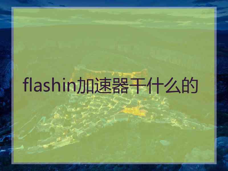 flashin加速器干什么的