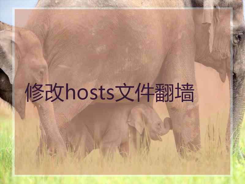 修改hosts文件翻墙