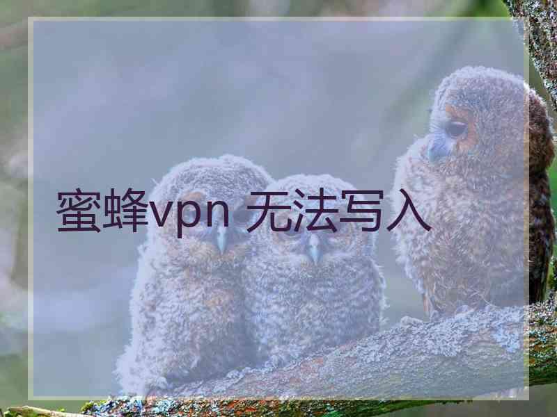 蜜蜂vpn 无法写入