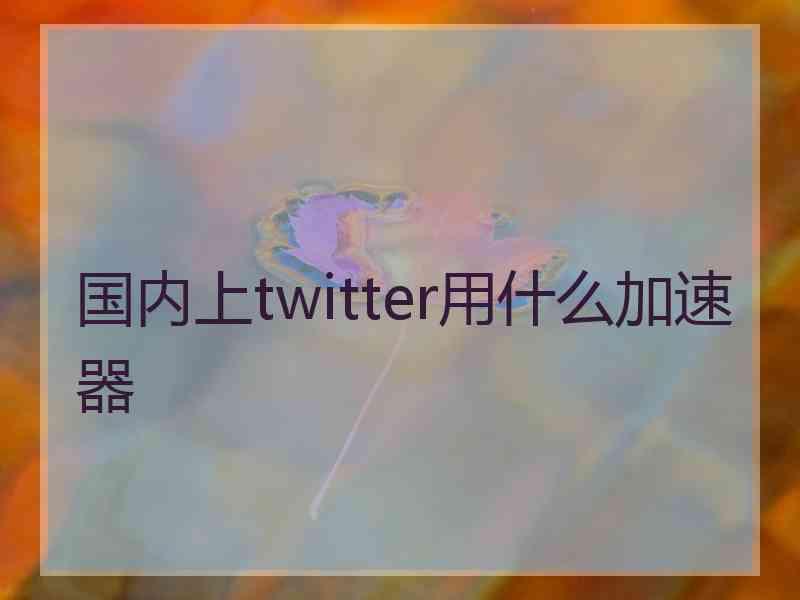 国内上twitter用什么加速器