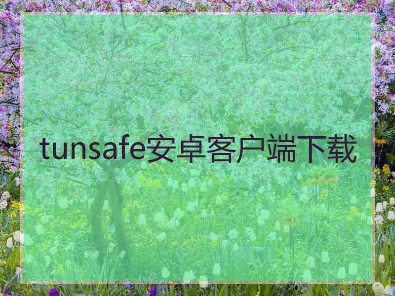 tunsafe安卓客户端下载