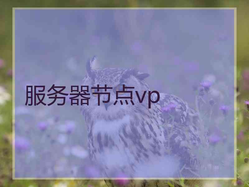 服务器节点vp