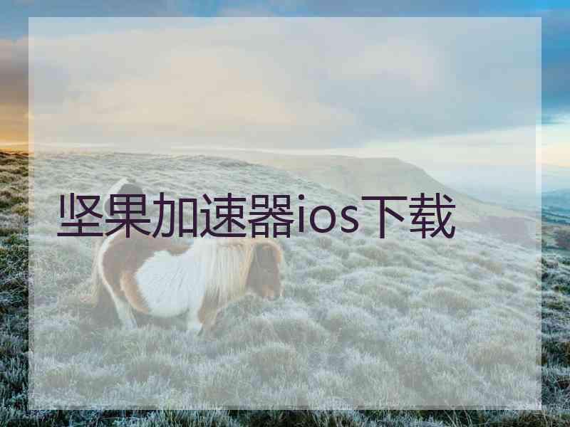 坚果加速器ios下载