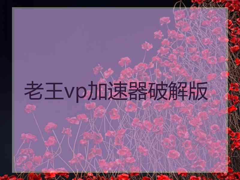 老王vp加速器破解版